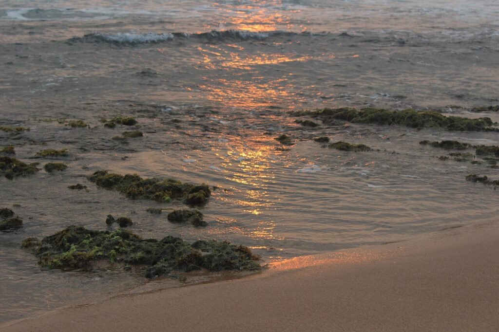 Kanyakumari