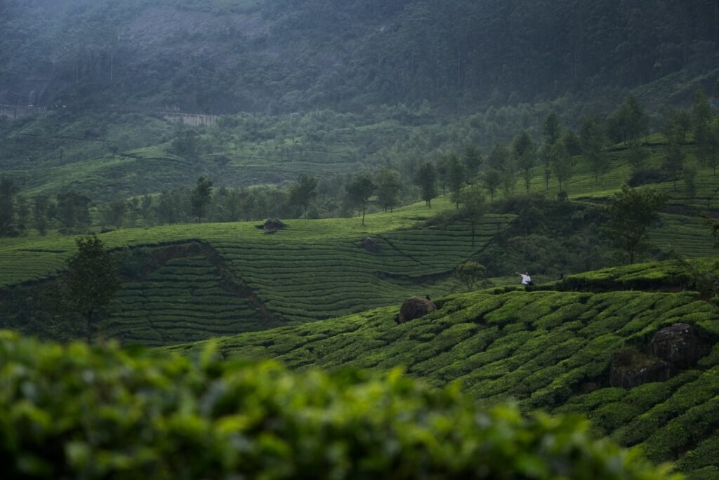Munnar