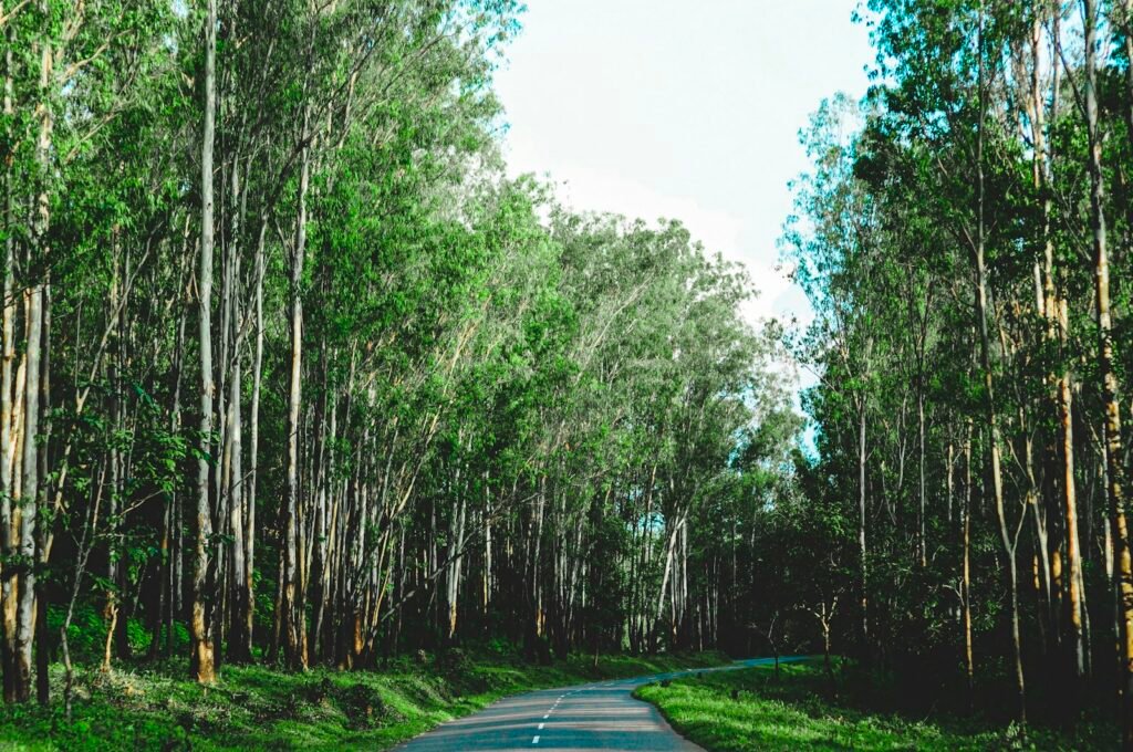 Wayanad